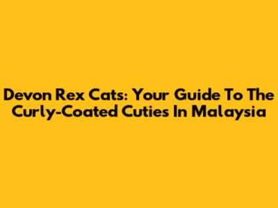 Devon Rex Cats: Your Guide To The Curly-Coated Cuties In Malaysia