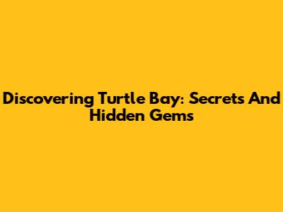 Discovering Turtle Bay: Secrets And Hidden Gems