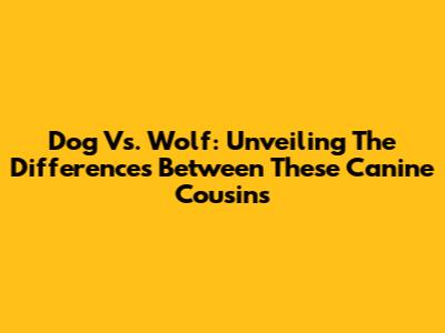 Dog Vs. Wolf: Unveiling The Differences Between These Canine Cousins