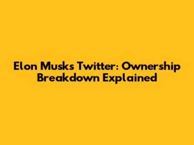 Elon Musk's Twitter: Ownership Breakdown Explained