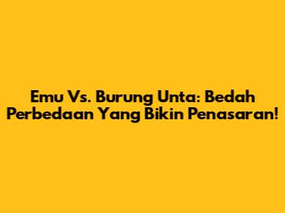 Emu Vs. Burung Unta: Bedah Perbedaan Yang Bikin Penasaran!