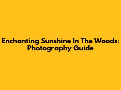 Enchanting Sunshine In The Woods: Photography Guide