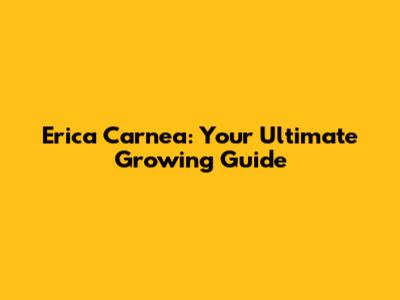 Erica Carnea: Your Ultimate Growing Guide