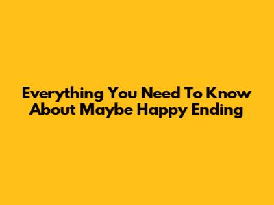 Everything You Need To Know About 'Maybe Happy Ending'