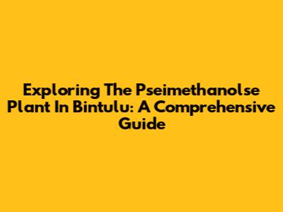 Exploring The Pseimethanolse Plant In Bintulu: A Comprehensive Guide