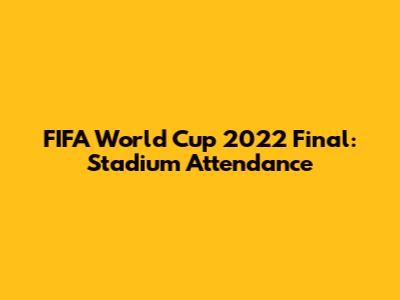 FIFA World Cup 2022 Final: Stadium Attendance