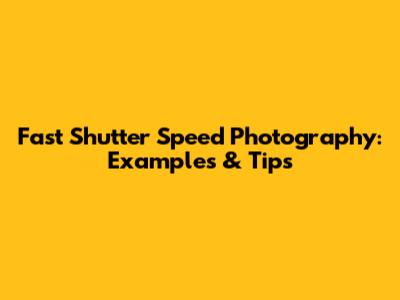 Fast Shutter Speed Photography: Examples & Tips