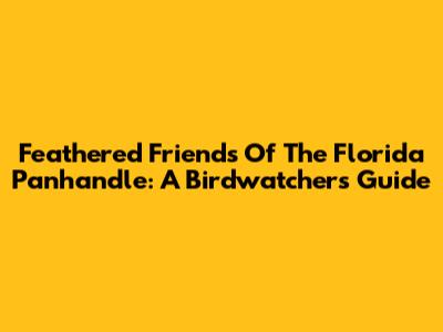 Feathered Friends Of The Florida Panhandle: A Birdwatcher's Guide
