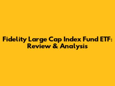 Fidelity Large Cap Index Fund ETF: Review & Analysis