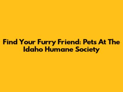 Find Your Furry Friend: Pets At The Idaho Humane Society