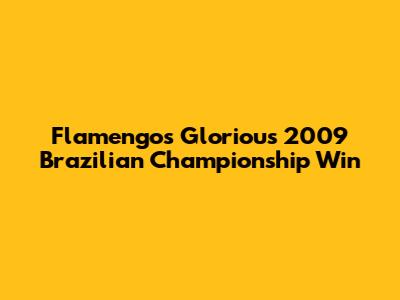 Flamengo's Glorious 2009 Brazilian Championship Win