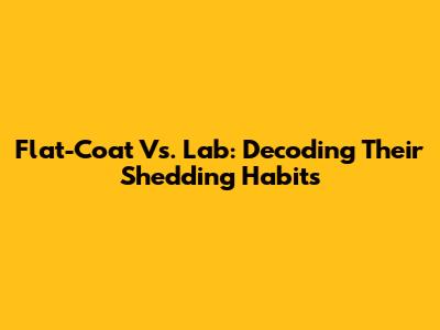 Flat-Coat Vs. Lab: Decoding Their Shedding Habits