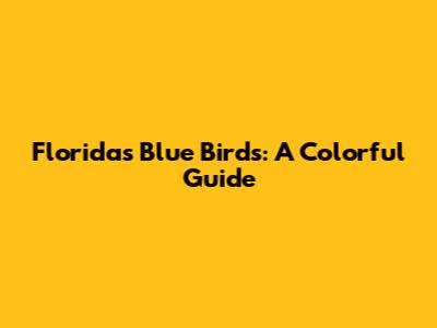 Florida's Blue Birds: A Colorful Guide