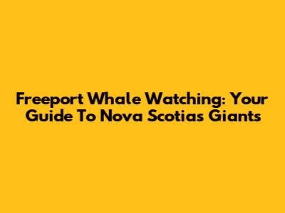 Freeport Whale Watching: Your Guide To Nova Scotia's Giants