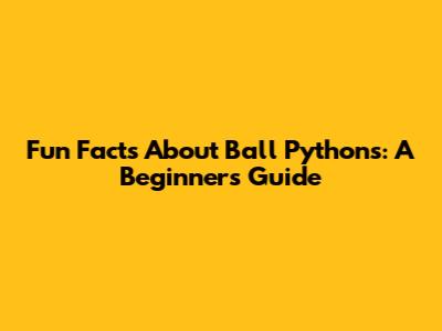 Fun Facts About Ball Pythons: A Beginner's Guide