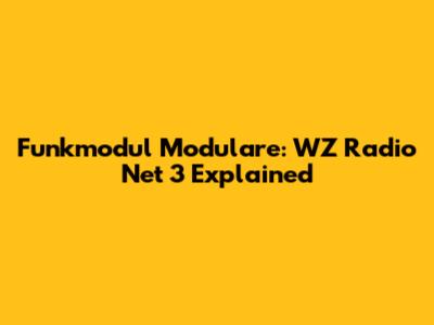 Funkmodul Modulare: WZ Radio Net 3 Explained