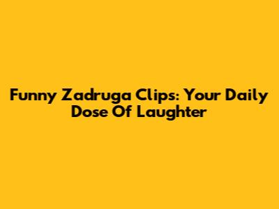 Funny Zadruga Clips: Your Daily Dose Of Laughter