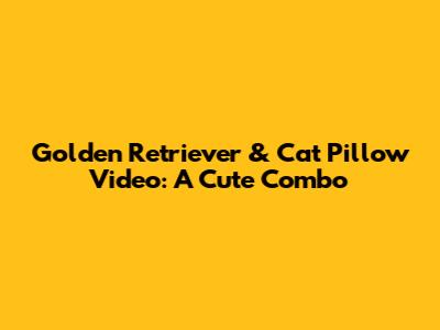 Golden Retriever & Cat Pillow Video: A Cute Combo