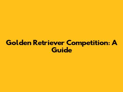 Golden Retriever Competition: A Guide