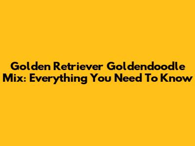 Golden Retriever Goldendoodle Mix: Everything You Need To Know