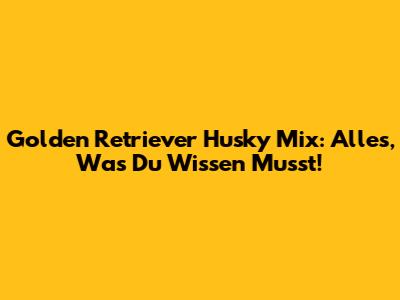 Golden Retriever Husky Mix: Alles, Was Du Wissen Musst!