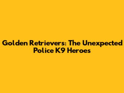Golden Retrievers: The Unexpected Police K9 Heroes
