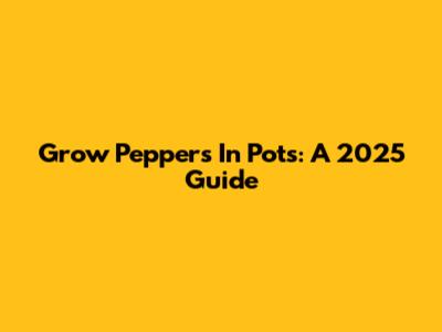 Grow Peppers In Pots: A 2025 Guide