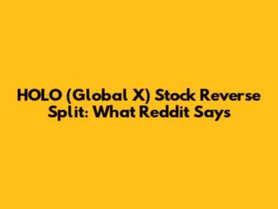 HOLO (Global X) Stock Reverse Split: What Reddit Says