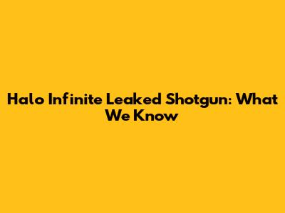 Halo Infinite Leaked Shotgun: What We Know