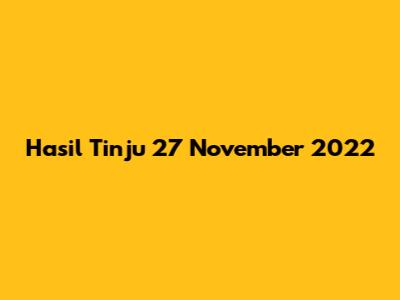 Hasil Tinju 27 November 2022