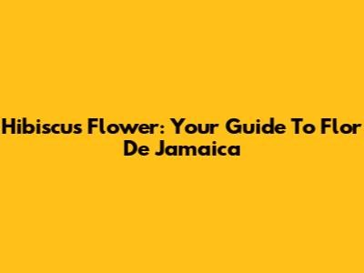 Hibiscus Flower: Your Guide To Flor De Jamaica