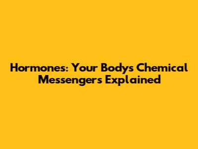 Hormones: Your Body's Chemical Messengers Explained