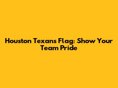Houston Texans Flag: Show Your Team Pride