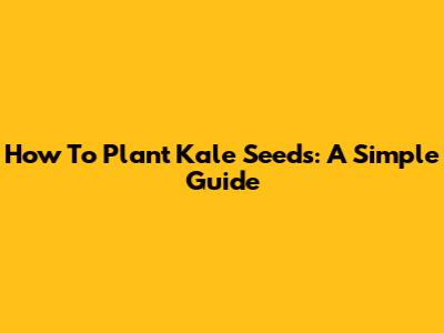 How To Plant Kale Seeds: A Simple Guide