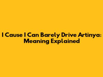 I Cause I Can Barely Drive Artinya: Meaning Explained