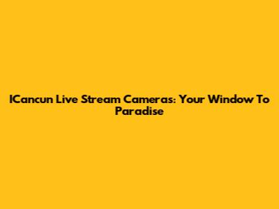 ICancun Live Stream Cameras: Your Window To Paradise