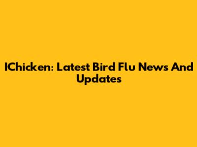 IChicken: Latest Bird Flu News And Updates