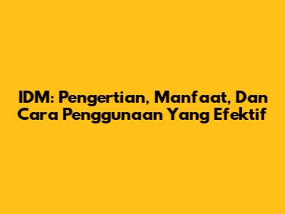 IDM: Pengertian, Manfaat, Dan Cara Penggunaan Yang Efektif