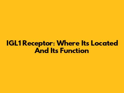 IGL1 Receptor: Where It's Located And Its Function