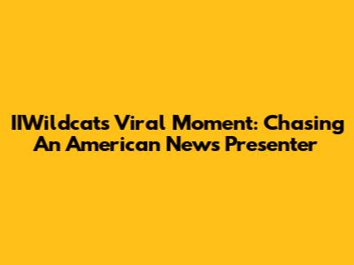 IIWildcat's Viral Moment: Chasing An American News Presenter