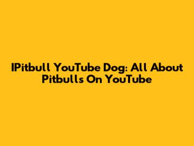 IPitbull YouTube Dog: All About Pitbulls On YouTube