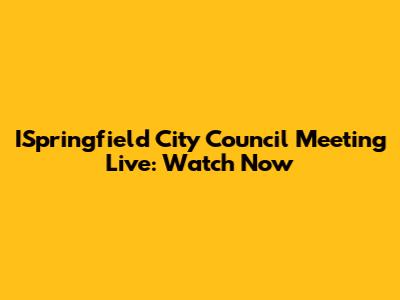 ISpringfield City Council Meeting Live: Watch Now