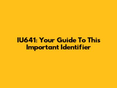 IU641: Your Guide To This Important Identifier