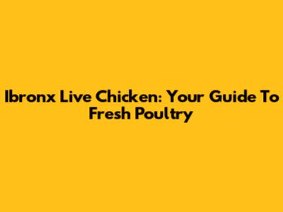 Ibronx Live Chicken: Your Guide To Fresh Poultry
