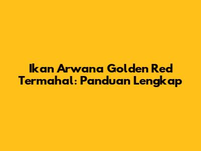 Ikan Arwana Golden Red Termahal: Panduan Lengkap