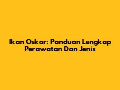 Ikan Oskar: Panduan Lengkap Perawatan Dan Jenis