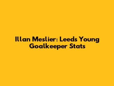 Illan Meslier: Leeds' Young Goalkeeper Stats
