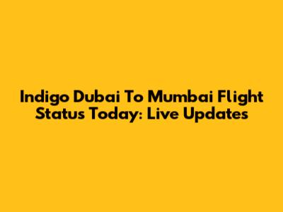 Indigo Dubai To Mumbai Flight Status Today: Live Updates