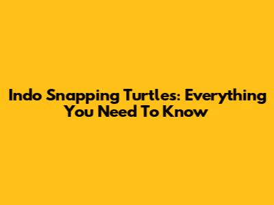 Indo Snapping Turtles: Everything You Need To Know