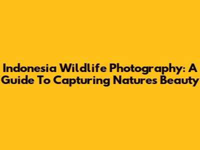 Indonesia Wildlife Photography: A Guide To Capturing Nature's Beauty
